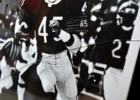Autographed Chicago Bears Photos-Sports Memorabilia-NFL-black/white-JustGorgeousStudio.com