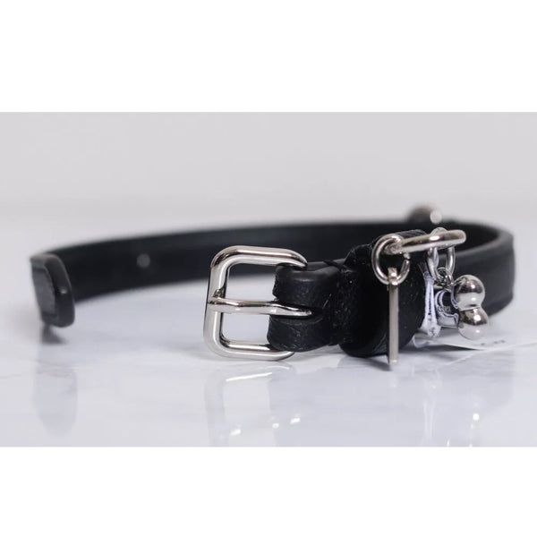 Chanel Dog leash and collar set