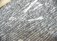 Large Orthoceras Fossil in Marble-Art & Antiques-Just Gorgeous Studio-grey/silver/black-JustGorgeousStudio.com