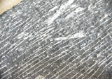 Large Orthoceras Fossil in Marble-Art & Antiques-Just Gorgeous Studio-grey/silver/black-JustGorgeousStudio.com